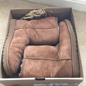 Short classic chestnut uggs